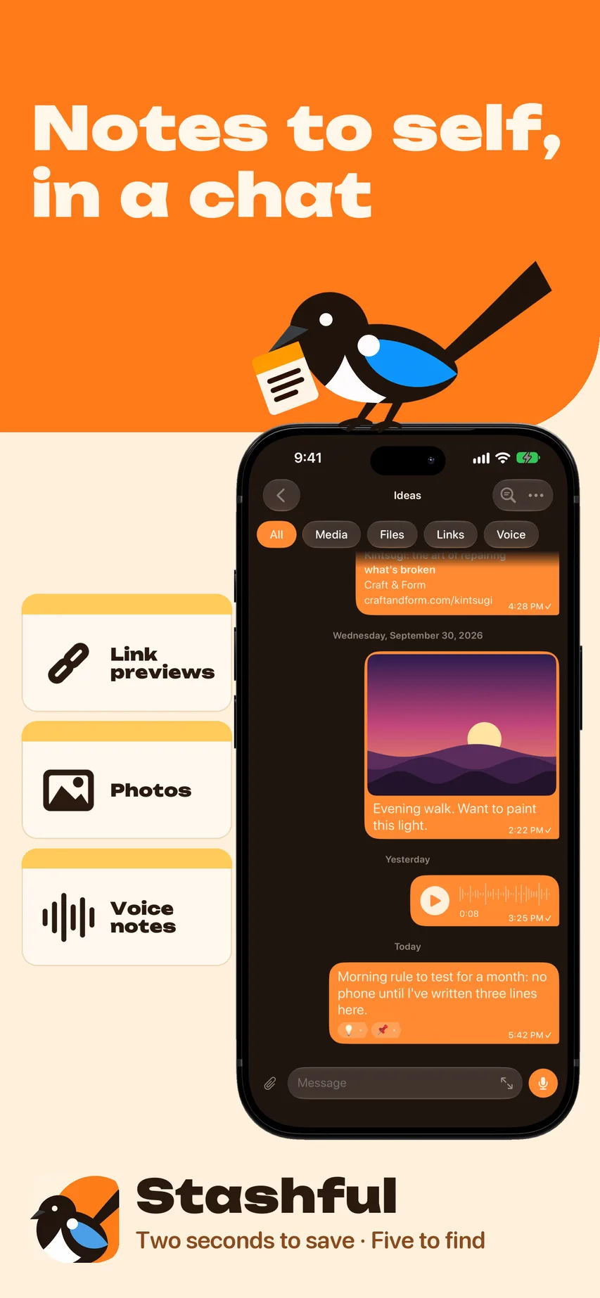Stashful on iPhone: a notes-to-self chat with link previews, photos and voice notes, and the magpie mascot.